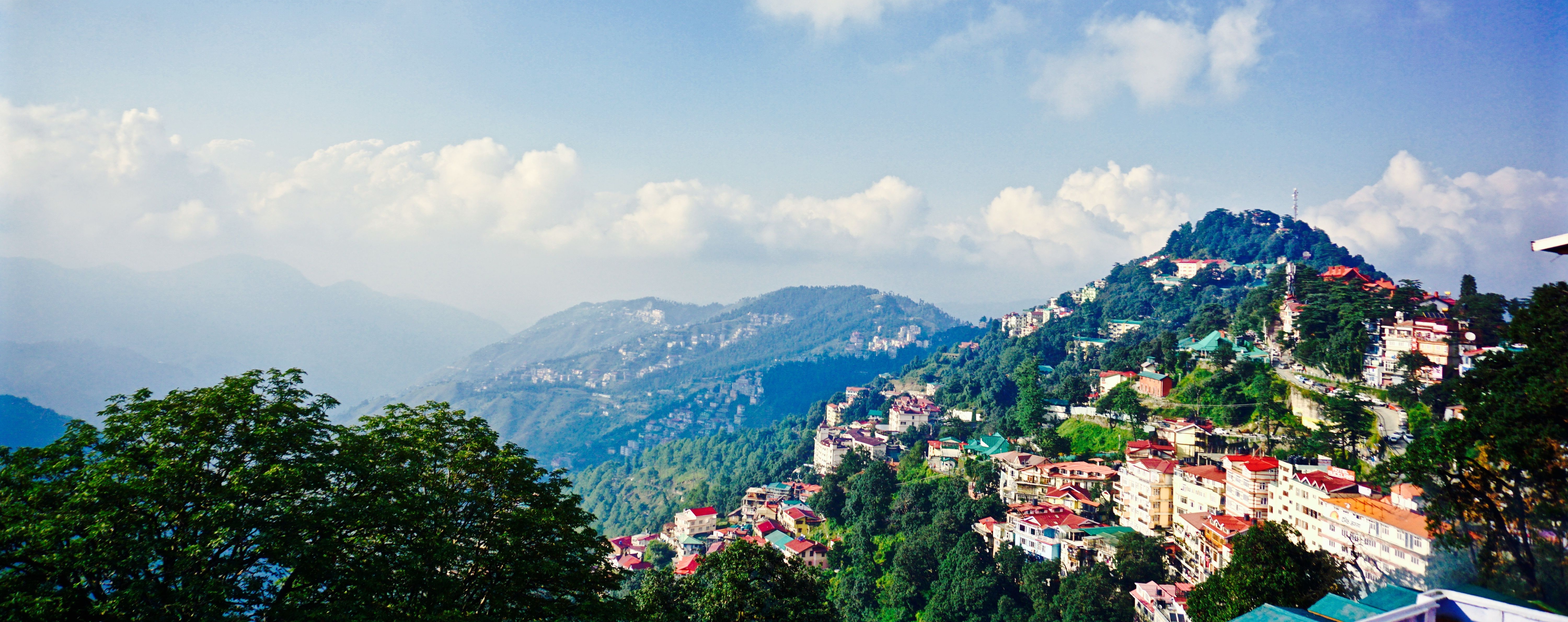 Shimla